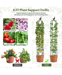 Skonyon Giantex 2-Pack Garden Obelisk Trellis for Climbing Plants
