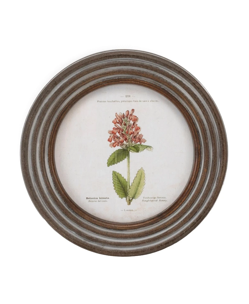 Slickblue Framed Floral Print (Set of 6) 9.5"D Wood/Mdf/Glass