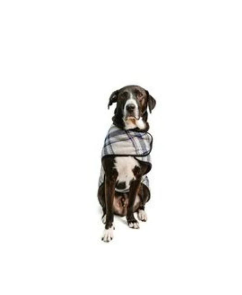 Chilly Dog L Grey And Blue Plaid Coat