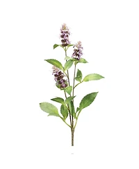 Slickblue Buddleia Stem for Elegant Floral Arrangements and Home Decor (Set of 6)
