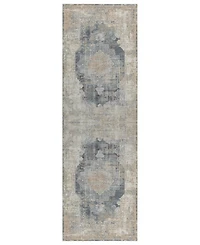 Lr Home Cherry-318 2'6''x9'9'' Runner Area Rug