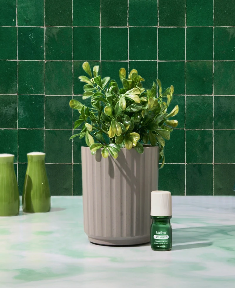 Lifelines Boxwood Plant Diffuser