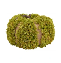 Safavieh Faux 15 Inch Moss Pumpkin