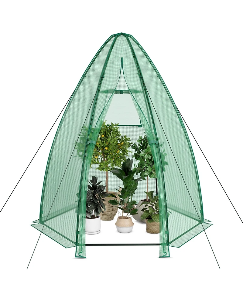Skonyon 5.5 x 5.5 x 6 Feet Portable Mini Greenhouse with All-Weather Pe Cover