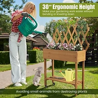 Costway Wood Raised Garden Bed with Trellis Storage Shelf Wheels Liner Drainage Holes
