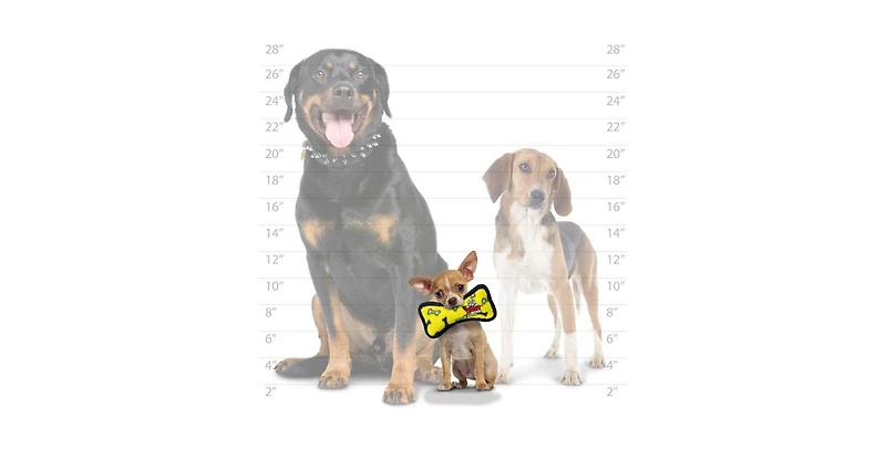 Tuffy Jr Bone Yellow and Ring Red Paw 2 Pack, Dog Toy