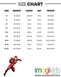 Avengers Little Boys Marvel Spider-Man Fleece Athletic Pullover Hoodie and Pants Outfit Set