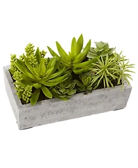 Slickblue Succulent Garden in Concrete Planter Modern Indoor Plant Decor