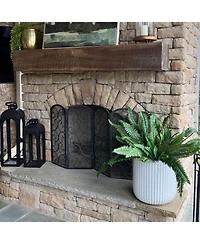 Slickblue Set of 2 Boston Ferns – Lush Indoor Plants for Elegant Home Decor