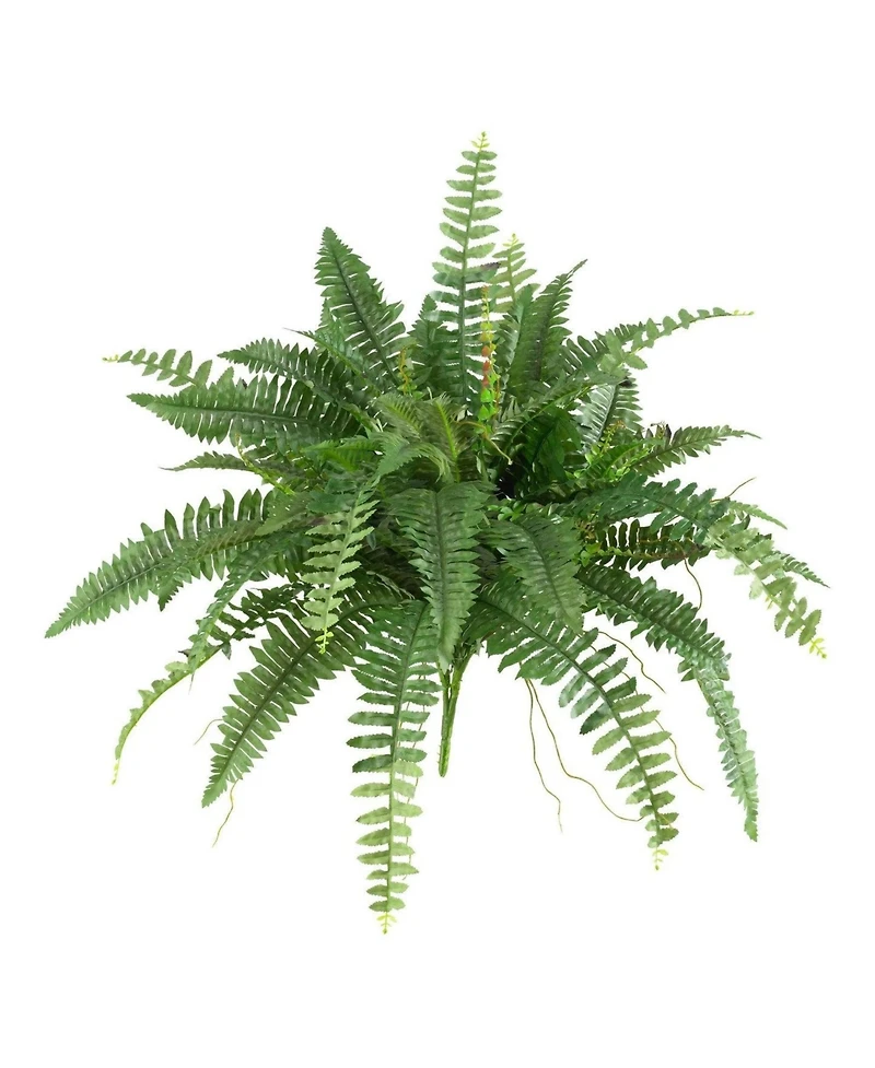 Slickblue Set of 2 Boston Ferns – Lush Indoor Plants for Elegant Home Decor