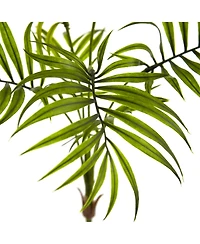 Slickblue Mini Areca Palm Bush for Small Tropical Spaces (Set of 6)