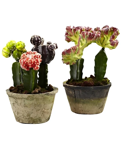 Slickblue Vibrant Cactus Gardens Colorful Succulent Arrangements for Indoor Decor (Set of 2)