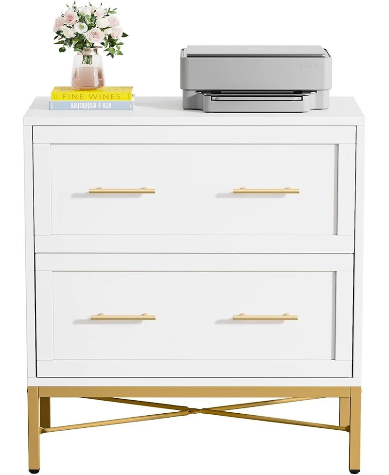 Tribesigns 2 Drawer File Cabinet, Modern White Lateral Filing Cabinet for Letter/Legal/A4 Size, Large File Storage Cabinets Printer Stand with Storage