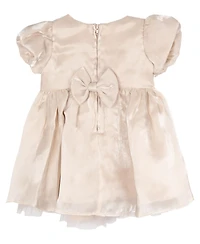 Rare Editions Baby Girls Shimmer Organza Social Dress