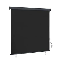 vidaXL Outdoor Roller Blind 63"x98.4" Anthracite