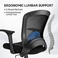Ergonomic Office Chair Mesh Swivel Task Chair with Lumbar & Back Support