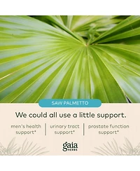 Gaia Herbs Prostate Health - Supports Prostate Health and Function for Men - With Saw Palmetto, Green Tea, Nettle Root, and White Sage