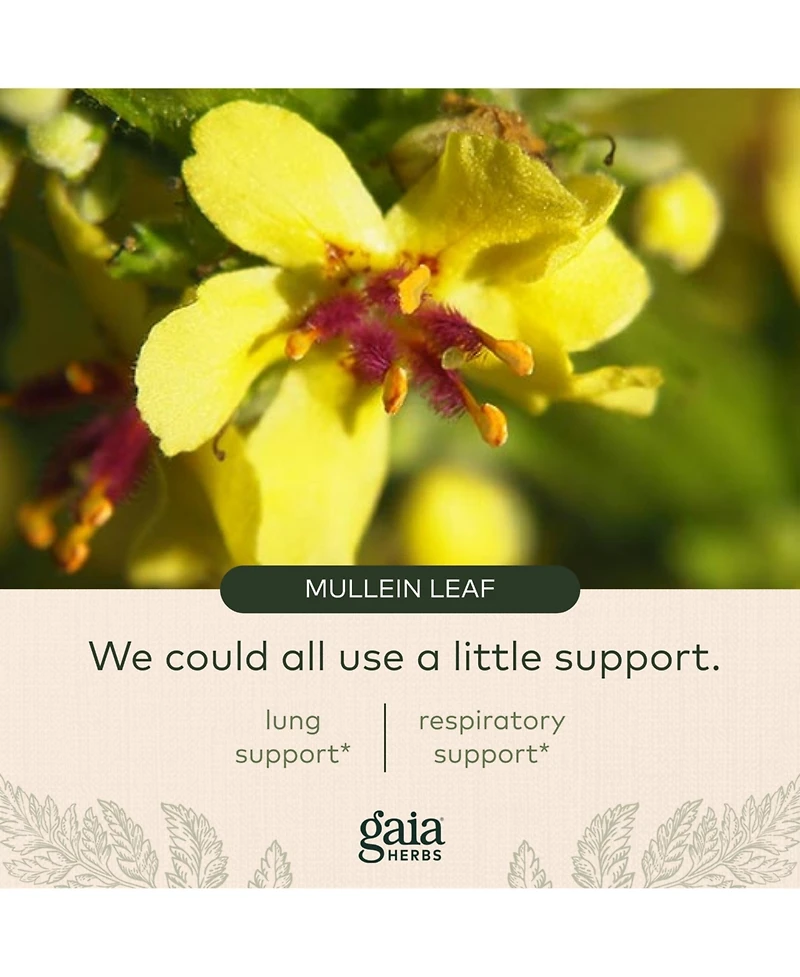 Gaia Herbs Mighty Lungs - Lung Support Supplement to Help Maintain Overall Lung & Respiratory Health