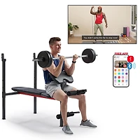 Sunny Health & Fitness Adjustable Standard Incline Weight Bench with Leg Developer and Preacher Curl Attachment, Up to 630LBs Support