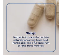 Trace Minerals Shilajit 1000mg - Mineral Supplement Support for Brain Health & Immune Function