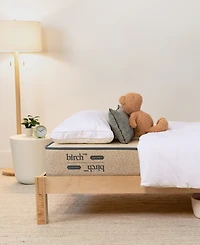 Brooklyn Bedding Birch Kids Natural 8" Cushion Firm Mattress