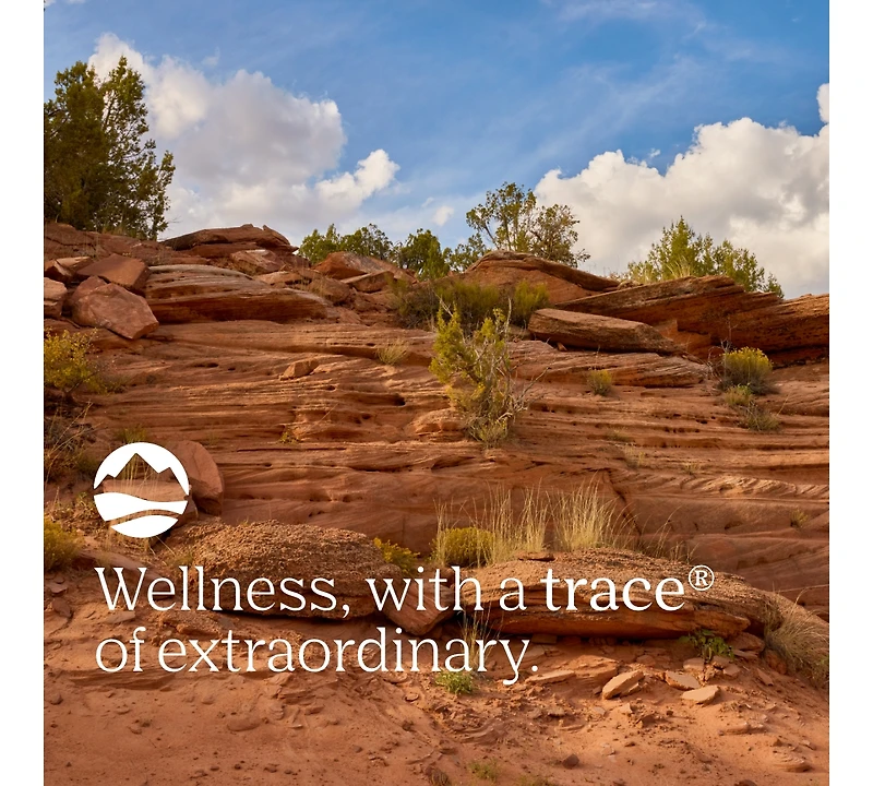 Trace Minerals | ConcenTrace Mineral Mouth Rinse | Gentle Mouth Rinse, Fresh Breath | Alcohol Free, Certified , Gluten Free, Non-gmo | Mint | 10 oz