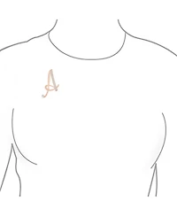 Bling Jewelry Large Statement Abc Pave Crystal Letters Alphabet Initial Scarf Lapel Pin Brooch Rose Gold Plated