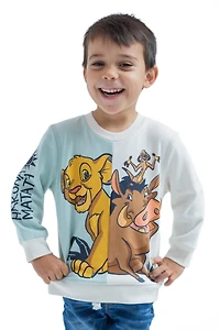 Disney Toddler Boys Lion King Mickey Mouse Cars Toy Story Sweatshirt to (2T - 18-20)