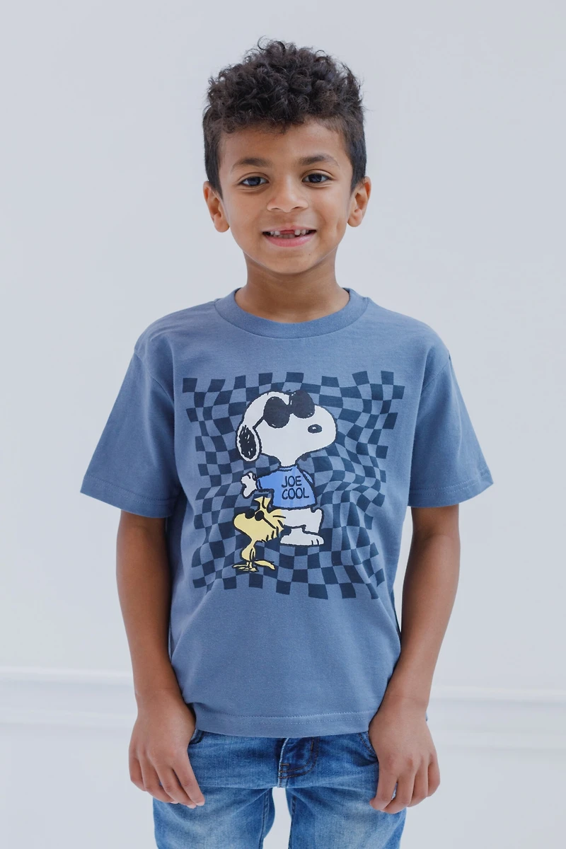 Peanuts Boys Woodstock Snoopy Charlie Brown 3 Pack T-Shirts