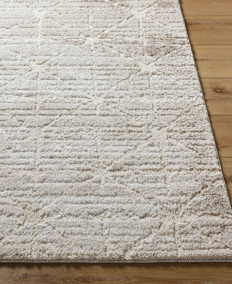 Livabliss Andorra Plus Arp-2306 5'3"x7'3" Area Rug