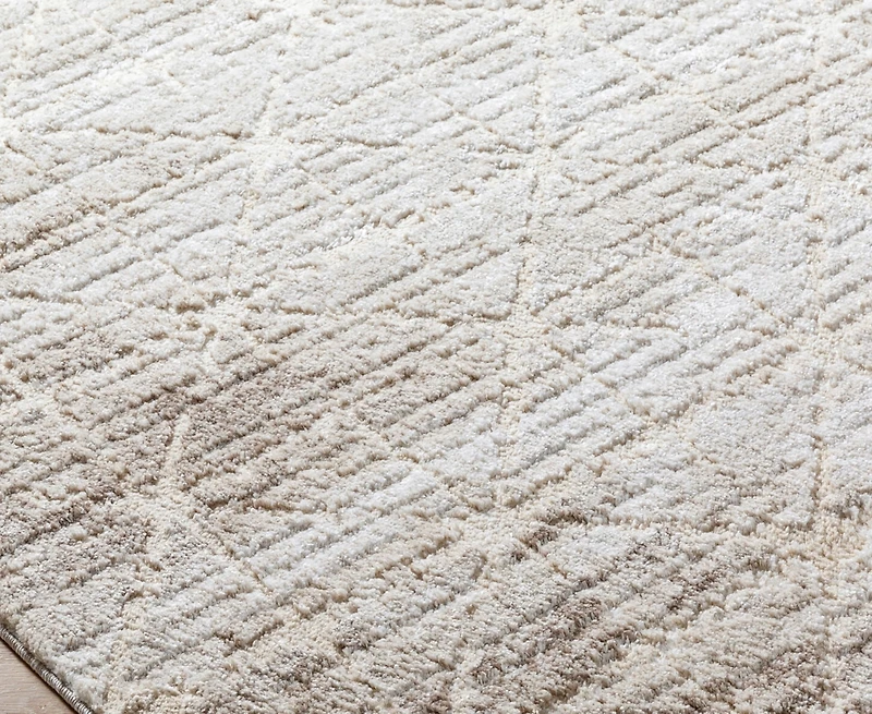 Livabliss Andorra Plus Arp-2306 5'3"x7'3" Area Rug