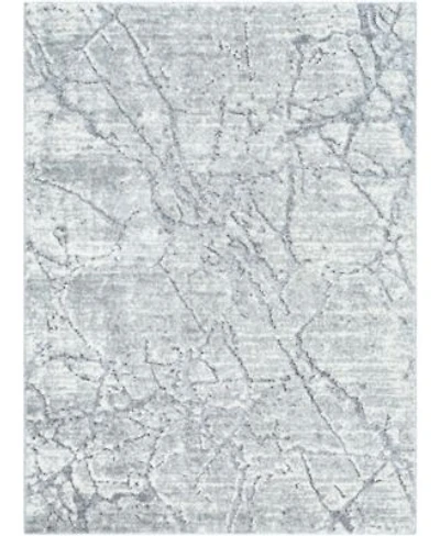 Livabliss Andorra Plus Arp 2312 Rug Collection