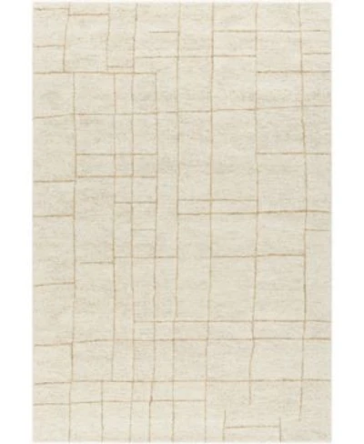 Livabliss Ira Vvir 2301 Rug Collection