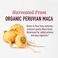 Organic Maca Root Capsules for Women, Peruvian Maca 2250MG Extra Strength, Supports Energy, Hormone Balance & Menopause, SMNutrition, 120ct