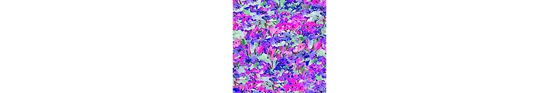 Bright Swimwear Women's Maria Top