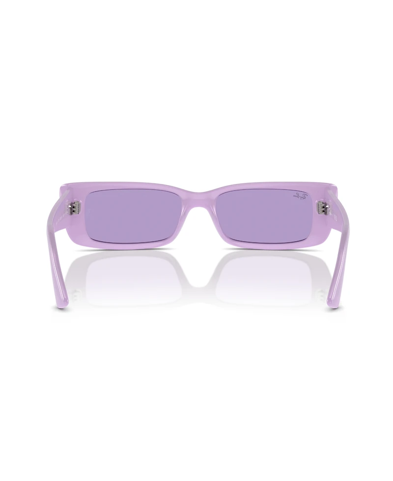 Ray-Ban Unisex Teru Sunglasses, RB4425
