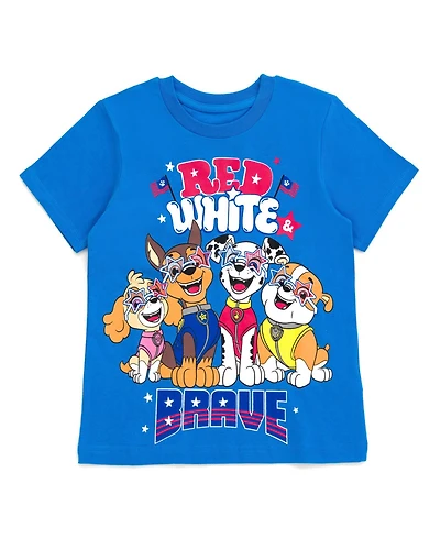 Paw Patrol Little Boys July 4th Halloween Christmas T-Shirt to