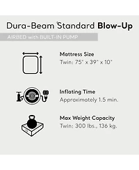 Intex Dura Pillow Rest Classic Blow Up Mattress Air Bed with Built In Pump, Twin