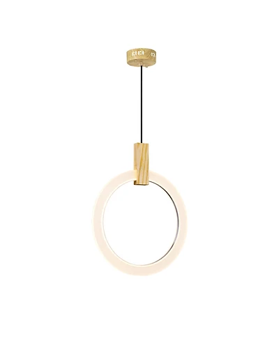 Cwi Lighting 20" Metal Anello Led Pendant