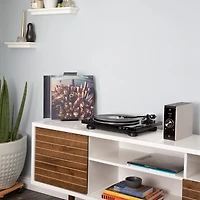 Denon Dp-450USB Hi-Fi Turntable with Usb Encoder