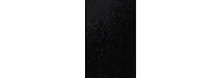 Bebe Women's Spaghetti Gown Long Slim Maxi Dress