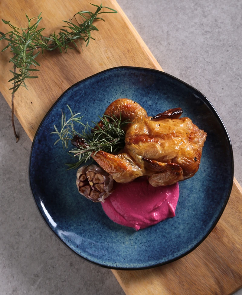 Porto Brasil Stoneware Dinner Plates
