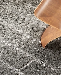Nourison Home Dreamy Shag DRS03 4'x6' Area Rug