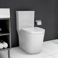 Streamdale Compact One Piece Dual Flush Toilet, Short Depth
