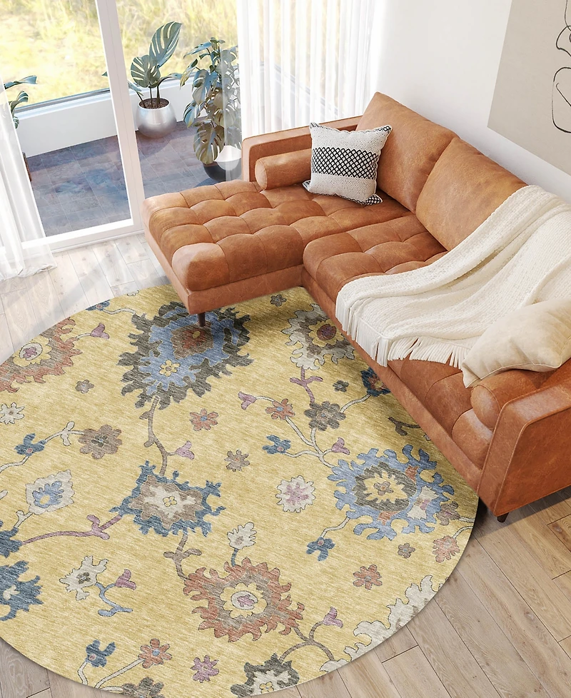 Dalyn Hatay Washable HY4 8'x8' Round Area Rug