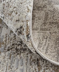 Feizy Vancouver 39FHF 4'x6' Area Rug