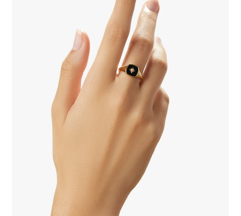 Ana Luisa Gold Signet Ring - Amara Black