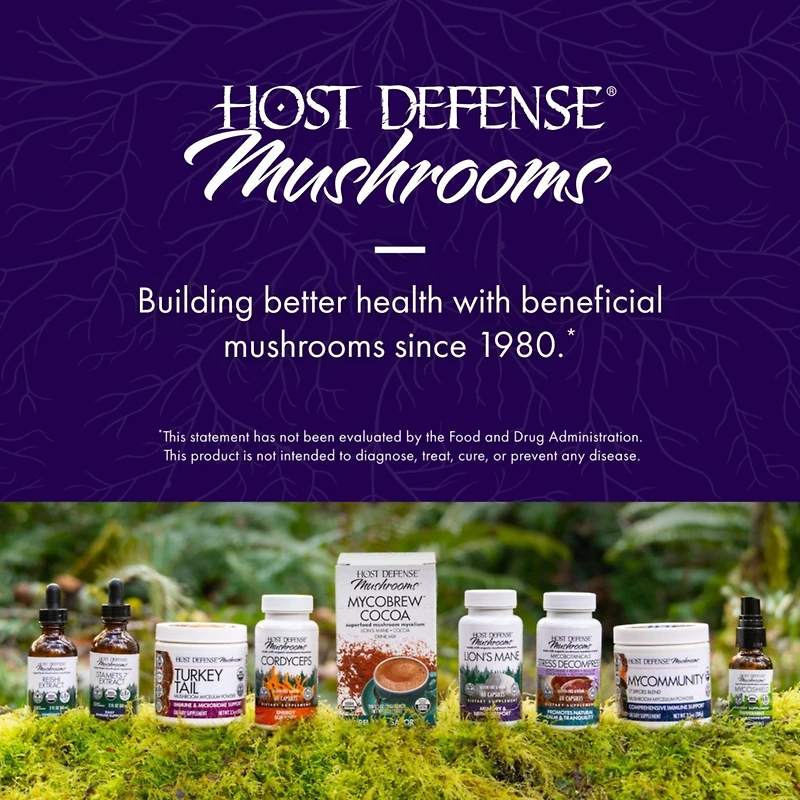Host Defense MycoBrew Matcha - Matcha Drink Mix - Matcha Green Tea Powder that Includes Lion's Mushroom - Drink Mix with Organic Matcha Tea