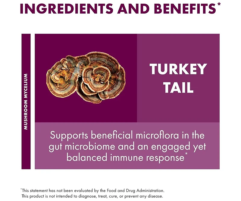 Host Defense Turkey Tail Mushroom Powder