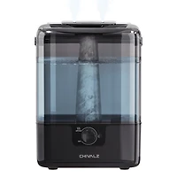 6L Cold Mist Humidifier with Oil Diffuser and Double Mist Outlets - Black